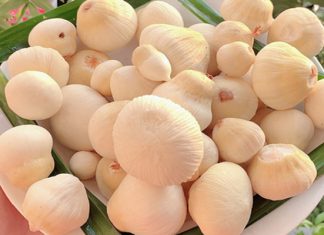 Mê mẩn món đặc sản mộng dừa nơi Miền Tây sông nước