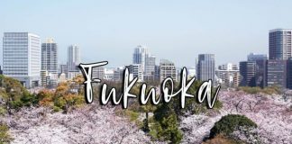 Trọn bộ kinh nghiệm du lịch thành phố Fukuoka nổi tiếng Nhật Bản